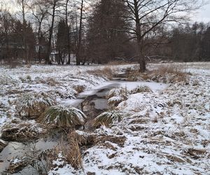 Nałęczów - Park Zdrojowy zimą