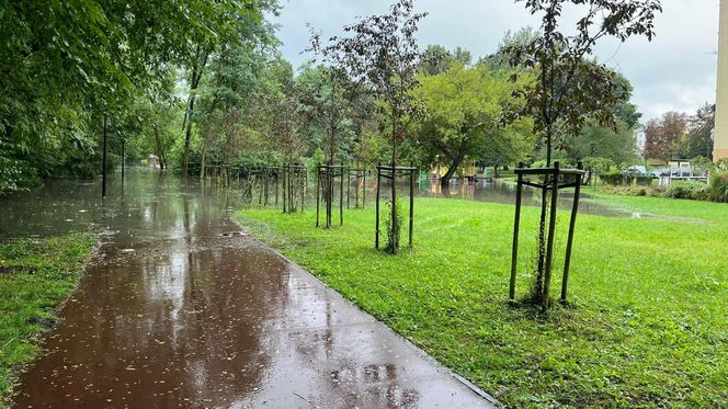 Śląsk pod wodą. Zalania, podtopienia i niemal 500 interwencji straży pożarnej w jeden weekend