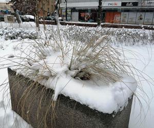 Zimowe klimaty w Siedlcach. Zobacz zdjęcia!