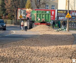 Ziemniaki zasypały całą ulicę Krutowskiego 
