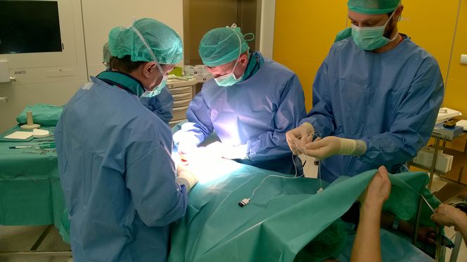 Neurosymulator nerwów krzyżowych w leczeniu nietrzymania stolca