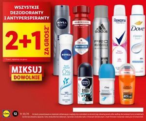 Lidl - promocje na długi weekend