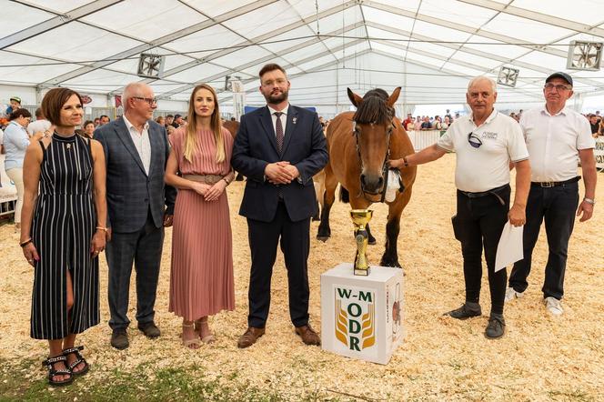 Jesienne Targi Rolnicze w Gryźlinach 2024. Wydarzenie przyciągnęło tłumy. Zobacz zdjęcia