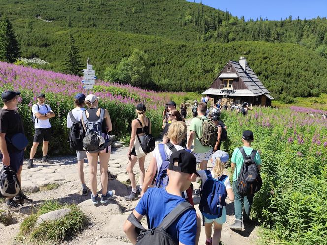 Najazd turystów na Tatry. Popularne szlaki przeżywają prawdziwe oblężenie