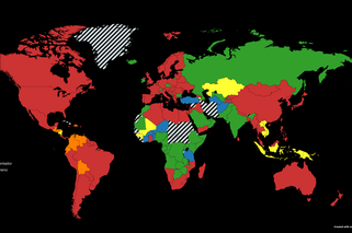 QUIZ. Ci Polacy są bardziej znani na świecie niż w swoim kraju. Znasz ich?