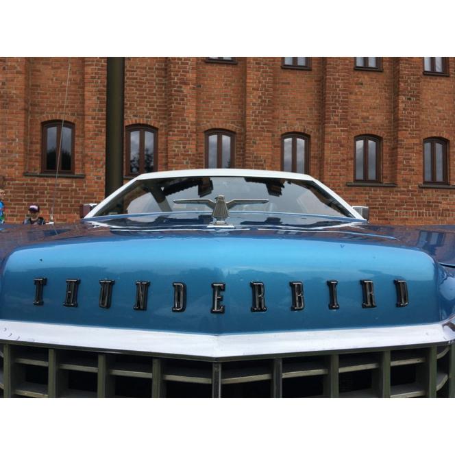 Klasyki, koncert i kino, czyli sierpień w elbląskim muzeum 