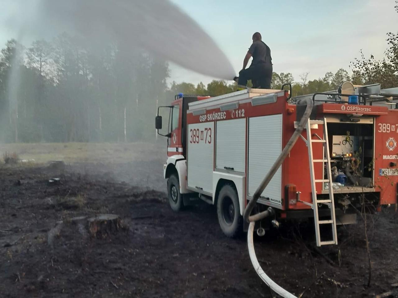 Pożary lasów w powiecie siedleckim. „Podejrzewamy, że to podpalenia” 