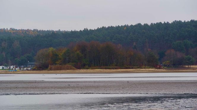 Mroczne klimaty nad zalewem brodzkim. Idealne na spacer dla fotografów