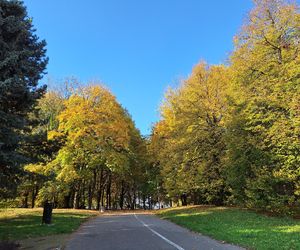 Najlepsze miejsca na jesienny spacer w Rzeszowie