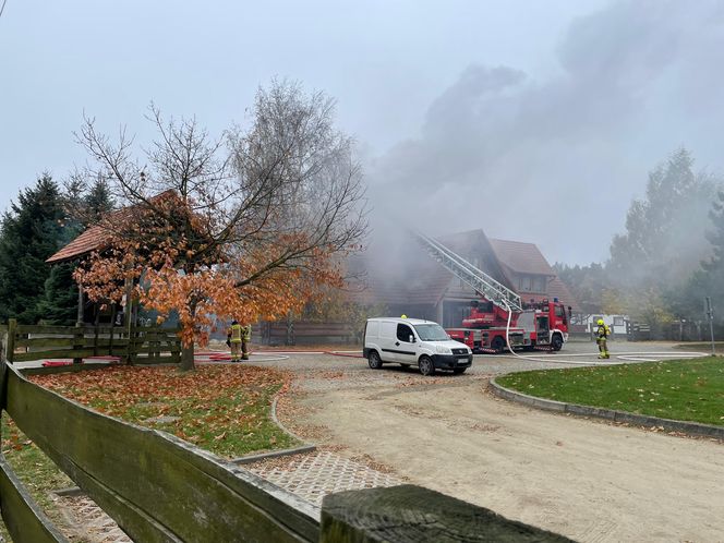 Pali się Ranczo Smyczyna koło Leszna