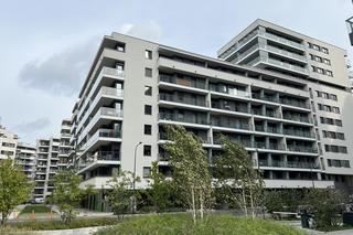 Kłótnia zakończona krwawą masakrą. Ciała dwóch młodych osób znaleziono w mieszkaniu na Woli