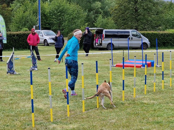 Zawody Agility w Myślęcinku. Psy walczyły o tytuł najzwinniejszego!
