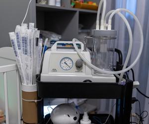 Franek umiera, gdy zasypia 