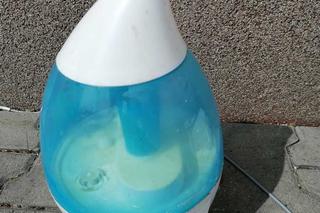 Piekł ciasteczka z marihuaną, suszył grzybki halucynogenne. Kulinarne grzeszki mieszkańca Małopolski