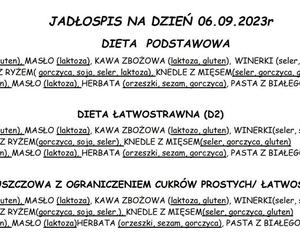 Jadłospis w SPSK im. A. Mielęckiego w Katowicach 