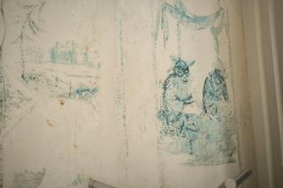 Odkryto freski w Pałacu Sułkowskich w Lesznie 