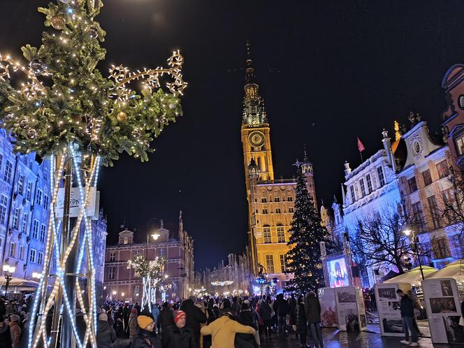 Gdańska choinka rozbłysła. Zobaczcie nasze zdjęcia!