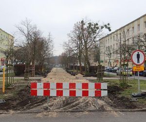 Aleja na Leśnym z nową nawierzchnią i drzewami
