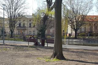 Kończy się czwarty etap rewitalizacji parku na Pl. Kościuszki w Lesznie