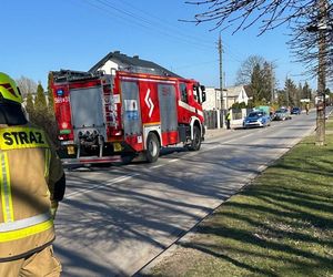 Nastolatek wjechał na chodnik BMW i potrącił 11-letnią dziewczynkę. Tragiczny finał wypadku