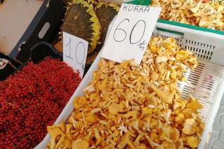 Ile kosztują grzyby w Krakowie? Ceny na targowiskach przyprawiają o zawrót głowy