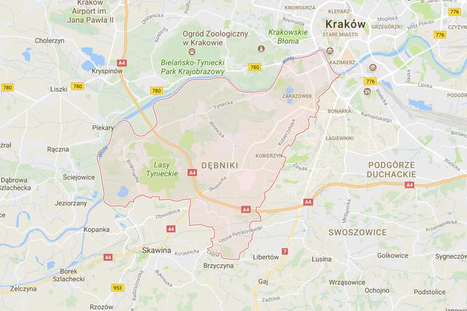 Dębniki