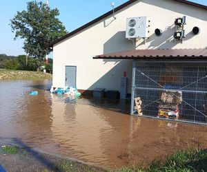 Powódź w gminie Szprotawa 