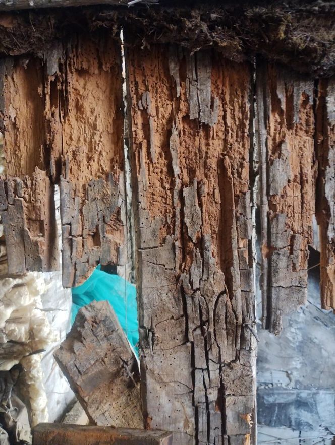 Warszawa. Oficyna Burkego