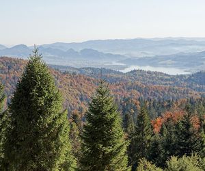 To miejsce w Małopolsce najpiękniej wygląda późną jesienią według AI. Ma status kultowego