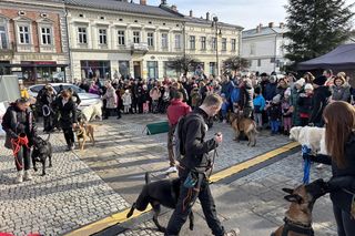 Finał WOŚP w Nowym Sączu 