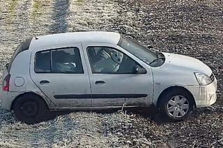 Ugrzązł z psem podczas nielegalnego przekkraczania granicy