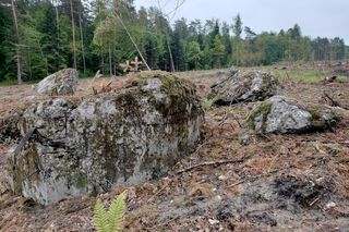 Niezwykłe znalezisko na trasie S17 w woj. lubelskim