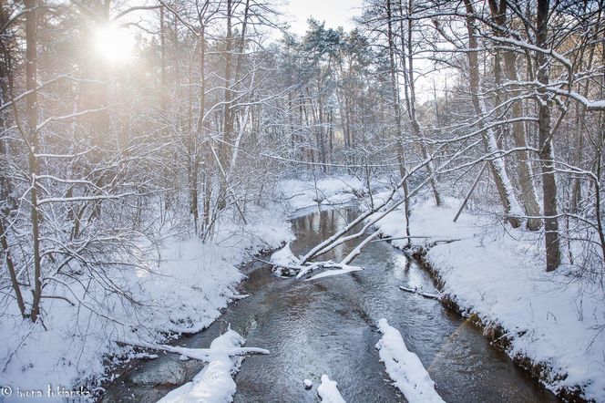 Czarniecka Góra - klimatyczna wieś w Świętokrzyskiem