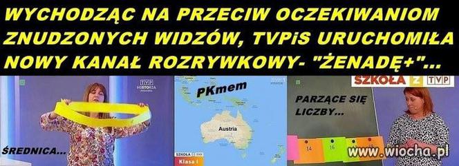 Szkoła TVP: Memy. Liczby parzyste, średnica i śmiech przez łzy