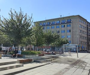 Katowice jak patelnia. Obowiązuje ruch cieniostronny. Nawet gołębie chowają się w cieniu