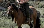 Putin na koniu