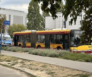 4-latka ciągnięta przez autobus miejski. 