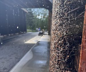 Tężnie w Złotowie