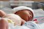 Toksoplazmoza u noworodka - objawy, leczenie, wyniki toksoplazmozy wrodzonej u dzieci