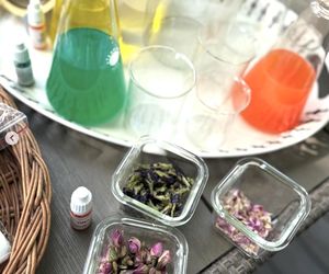 Przyjaciółki, 26 sezon