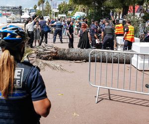 Dramat na festiwalu w Cannes! Producent uderzony przez palmę trafił do szpitala 