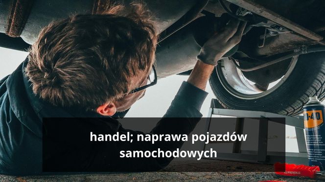 Handel; naprawa pojazdów samochodowych  