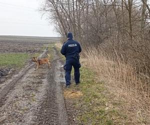 Tajemnicze zaginięcie 73 letniej Krystyny z Łowiec