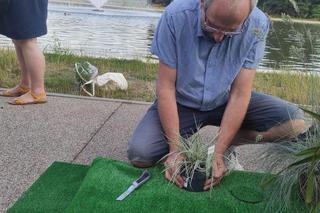 Mieszkańcy Targówka zrobili wyspę dla kaczek, urzędnicy wyrzucili ją w błoto