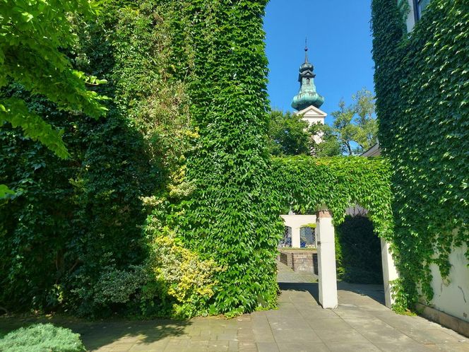 Urokliwe podwórka Starego Miasta w Zamościu