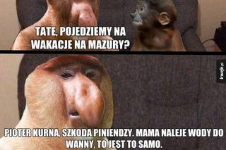 Memy o Warmii i Mazurach. Tak nasz region widzą Polacy. Uśmiejesz się do łez!