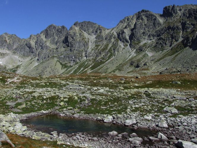 Mięguszowiecki Szczyt w Tatrach