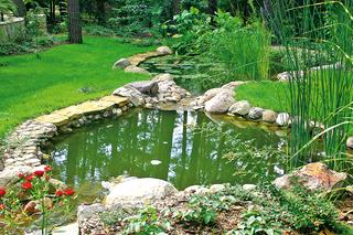 Z czego najlepiej zrobić oczko wodne w ogrodzie? Sprawdź, jak je zbudować