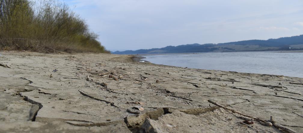 Jezioro Czorsztyńskie coraz bardziej wysycha