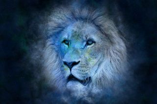 Te znaki zodiaku w grudniu czeka miłość